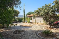 IMG-20240809-WA0004-scaled