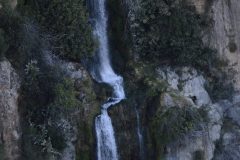 DSC0445-e1509635410587